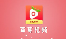 草莓视频网站,探索无限娱乐新天地